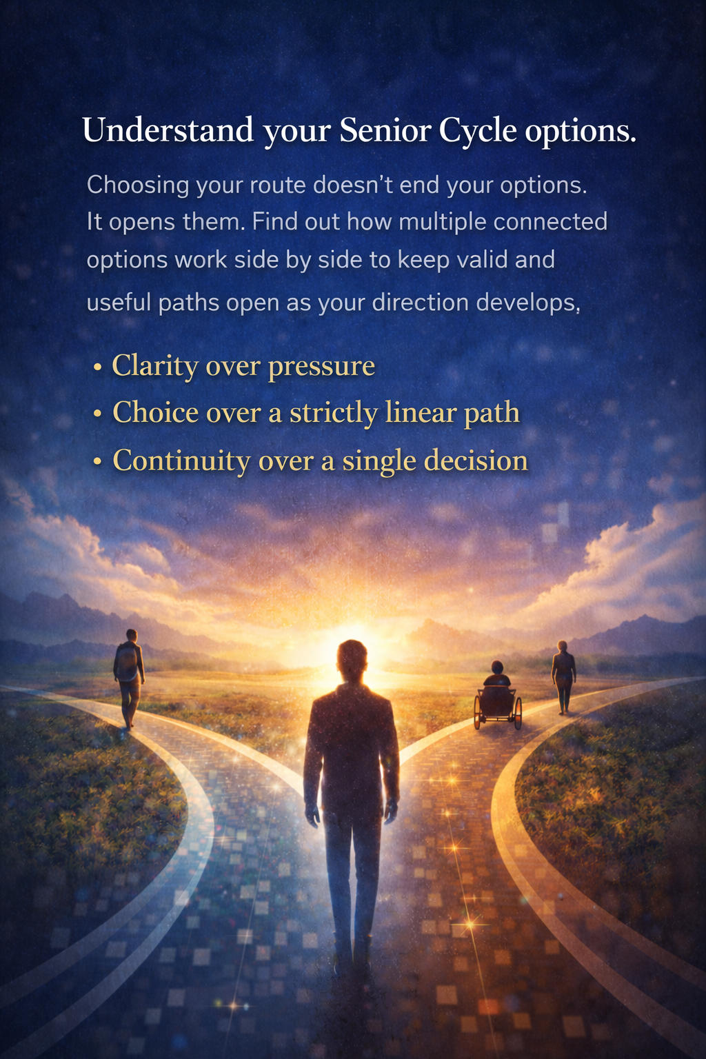 Senior Cycle: Understanding the Options (Student Edition)