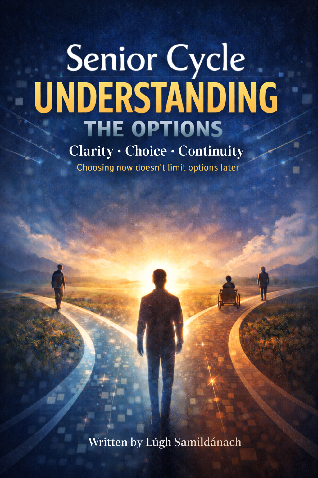 Senior Cycle: Understanding the Options (Student Edition)