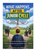 What Happens After Junior Cycle — and What Options Actually Mean (Student Edition)